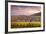 Sunset over the Vineyards Surrounding Riquewihr, Alsace, France-Matteo Colombo-Framed Photographic Print