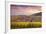 Sunset over the Vineyards Surrounding Riquewihr, Alsace, France-Matteo Colombo-Framed Photographic Print