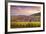 Sunset over the Vineyards Surrounding Riquewihr, Alsace, France-Matteo Colombo-Framed Photographic Print