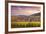 Sunset over the Vineyards Surrounding Riquewihr, Alsace, France-Matteo Colombo-Framed Photographic Print