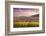 Sunset over the Vineyards Surrounding Riquewihr, Alsace, France-Matteo Colombo-Framed Photographic Print