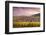 Sunset over the Vineyards Surrounding Riquewihr, Alsace, France-Matteo Colombo-Framed Photographic Print