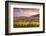 Sunset over the Vineyards Surrounding Riquewihr, Alsace, France-Matteo Colombo-Framed Photographic Print