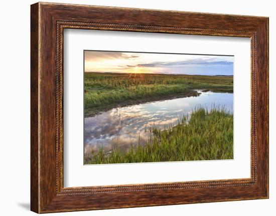 Sunset over Tidal Marsh at Massachusetts Audubon Wellfleet Bay Wildlife Sanctuary-Jerry and Marcy Monkman-Framed Photographic Print