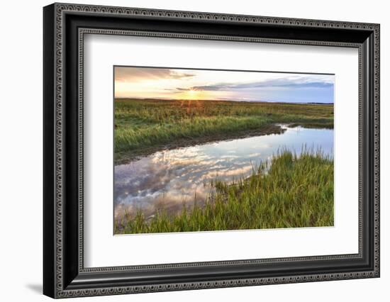 Sunset over Tidal Marsh at Massachusetts Audubon Wellfleet Bay Wildlife Sanctuary-Jerry and Marcy Monkman-Framed Photographic Print