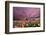 Sunset over Tulip Field-jpldesigns-Framed Photographic Print