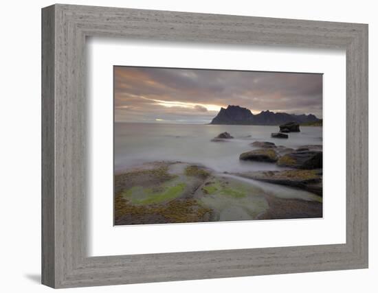 Sunset Over Utakleiv, Vestvagoya, Lofoten Islands, Norway, Scandinavia-Gary Cook-Framed Photographic Print