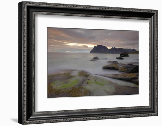 Sunset Over Utakleiv, Vestvagoya, Lofoten Islands, Norway, Scandinavia-Gary Cook-Framed Photographic Print