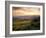 Sunset over Val D'Orcia, Near Castiglione D'Orcia, Tuscany, Italy, Europe-Patrick Dieudonne-Framed Photographic Print