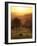 Sunset over Vineyards Near Panzano in Chianti, Chianti, Tuscany, Italy, Europe-Patrick Dieudonne-Framed Photographic Print