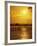 Sunset Over Virginia Beach, VA-Chris Rogers-Framed Photographic Print