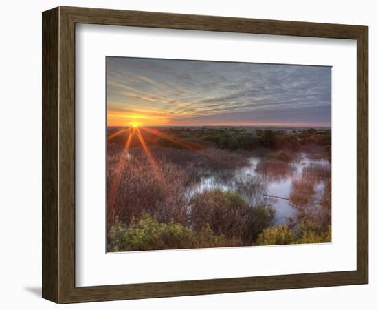 Sunset over Wetlands at Ocean Shores, Washington, USA-Tom Norring-Framed Photographic Print