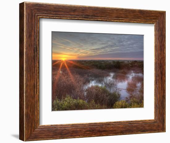 Sunset over Wetlands at Ocean Shores, Washington, USA-Tom Norring-Framed Photographic Print