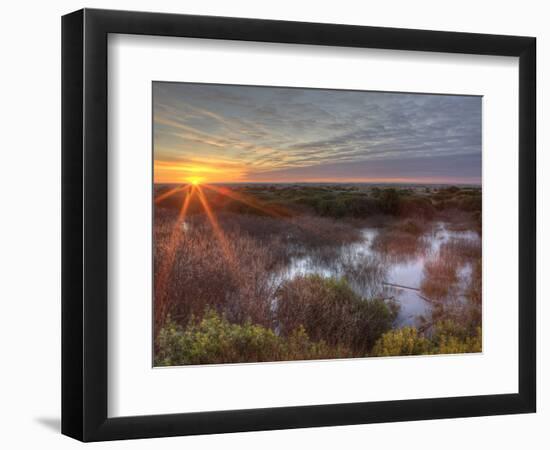 Sunset over Wetlands at Ocean Shores, Washington, USA-Tom Norring-Framed Photographic Print