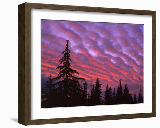 Sunset Painting Clouds Over Forest, Three Sisters Wilderness, Oregon, USA-Steve Terrill-Framed Photographic Print