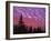 Sunset Painting Clouds Over Forest, Three Sisters Wilderness, Oregon, USA-Steve Terrill-Framed Photographic Print