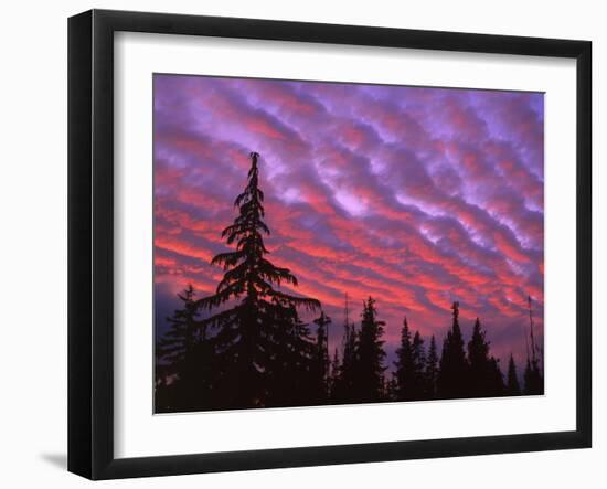 Sunset Painting Clouds Over Forest, Three Sisters Wilderness, Oregon, USA-Steve Terrill-Framed Photographic Print