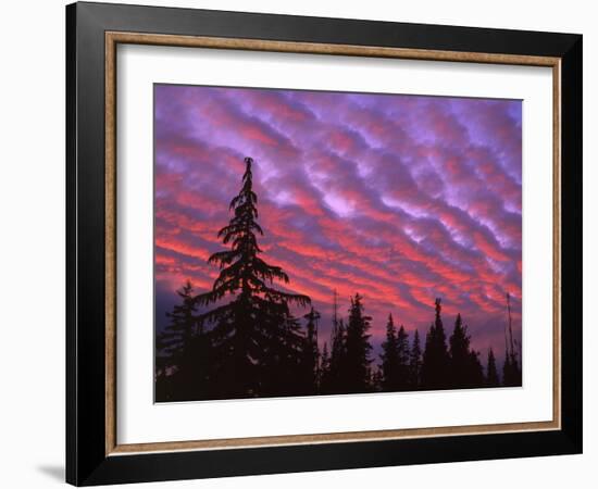 Sunset Painting Clouds Over Forest, Three Sisters Wilderness, Oregon, USA-Steve Terrill-Framed Photographic Print