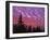 Sunset Painting Clouds Over Forest, Three Sisters Wilderness, Oregon, USA-Steve Terrill-Framed Photographic Print