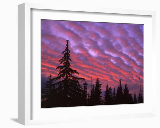 Sunset Painting Clouds Over Forest, Three Sisters Wilderness, Oregon, USA-Steve Terrill-Framed Photographic Print