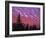 Sunset Painting Clouds Over Forest, Three Sisters Wilderness, Oregon, USA-Steve Terrill-Framed Photographic Print