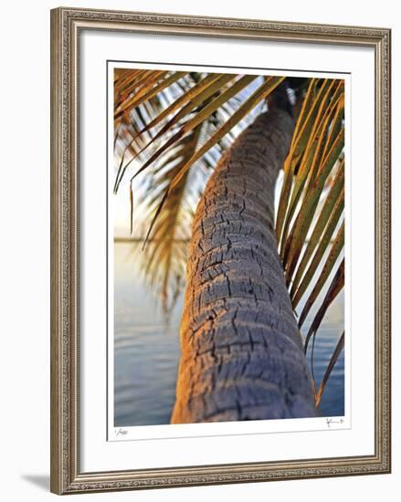 Sunset Palm Islamorada-John Gynell-Framed Giclee Print