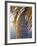 Sunset Palm Islamorada-John Gynell-Framed Giclee Print