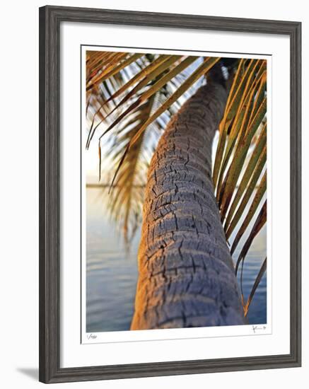 Sunset Palm Islamorada-John Gynell-Framed Giclee Print