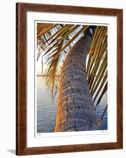 Sunset Palm Islamorada-John Gynell-Framed Giclee Print