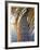 Sunset Palm Islamorada-John Gynell-Framed Giclee Print