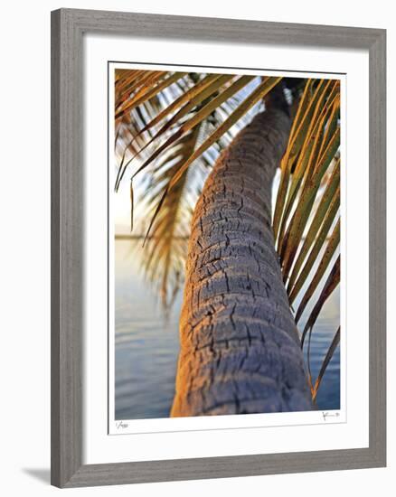 Sunset Palm Islamorada-John Gynell-Framed Giclee Print