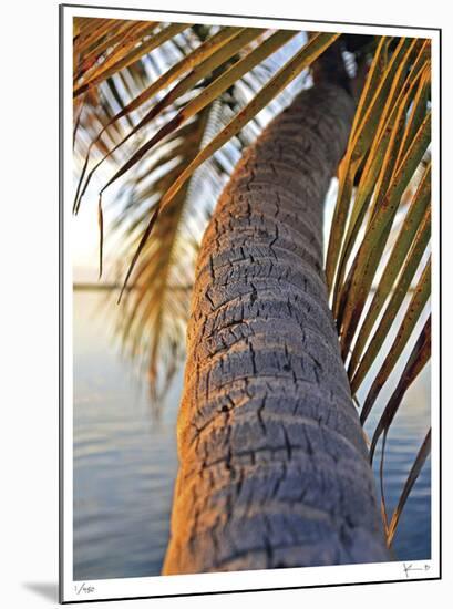 Sunset Palm Islamorada-John Gynell-Mounted Giclee Print