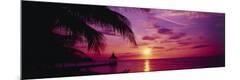 Premium Photographic Print