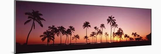 Sunset Palm Trees Oahu Island Hi USA-null-Mounted Photographic Print