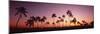 Sunset Palm Trees Oahu Island Hi USA-null-Mounted Photographic Print