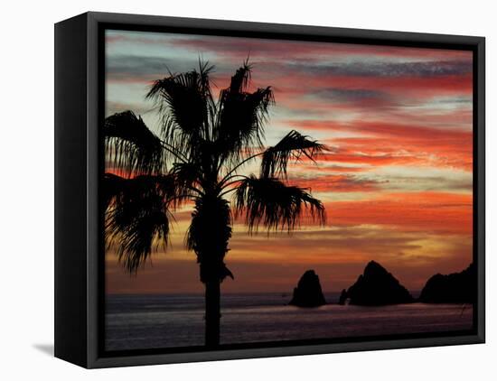Sunset Palm with Rock Formation, Los Arcos in the Distance, Cabo San Lucas, Baja California, Mexico-Cindy Miller Hopkins-Framed Premier Image Canvas