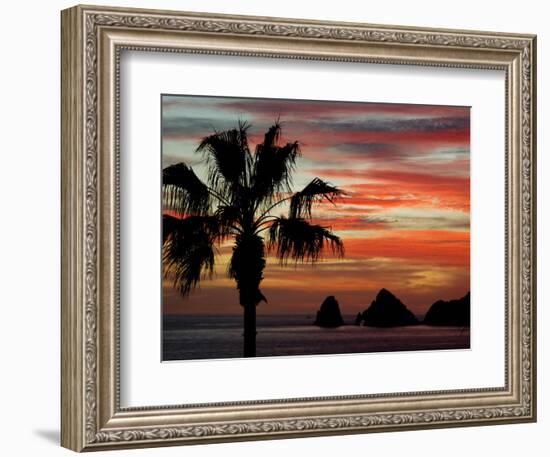 Sunset Palm with Rock Formation, Los Arcos in the Distance, Cabo San Lucas, Baja California, Mexico-Cindy Miller Hopkins-Framed Photographic Print