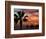 Sunset Palm with Rock Formation, Los Arcos in the Distance, Cabo San Lucas, Baja California, Mexico-Cindy Miller Hopkins-Framed Photographic Print