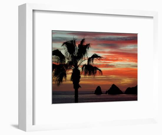 Sunset Palm with Rock Formation, Los Arcos in the Distance, Cabo San Lucas, Baja California, Mexico-Cindy Miller Hopkins-Framed Photographic Print