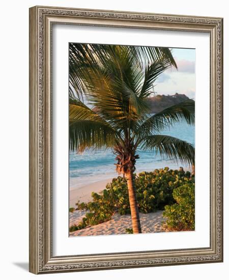 Sunset Palms I-Susan Bryant-Framed Photographic Print
