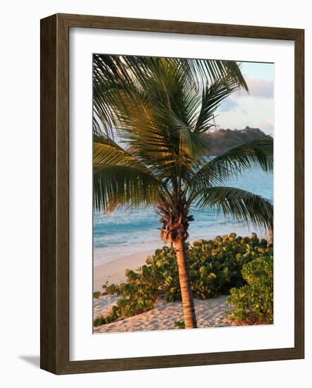 Sunset Palms I-Susan Bryant-Framed Photographic Print