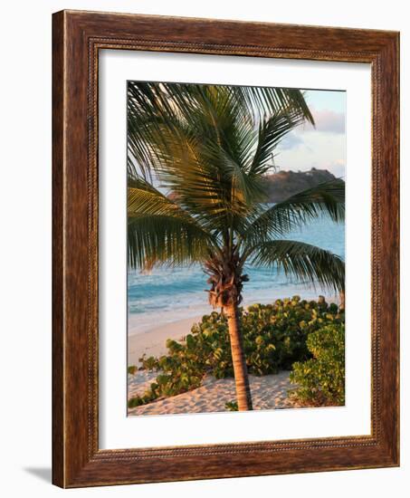 Sunset Palms I-Susan Bryant-Framed Photographic Print