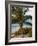 Sunset Palms I-Susan Bryant-Framed Photographic Print