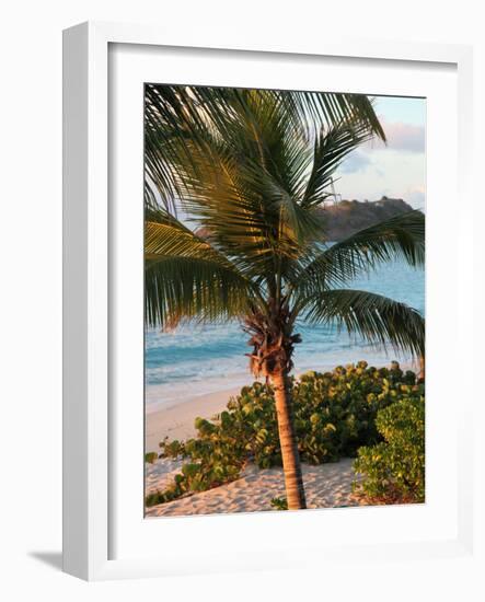 Sunset Palms I-Susan Bryant-Framed Photographic Print