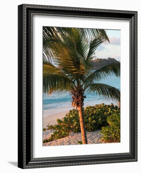 Sunset Palms I-Susan Bryant-Framed Photographic Print