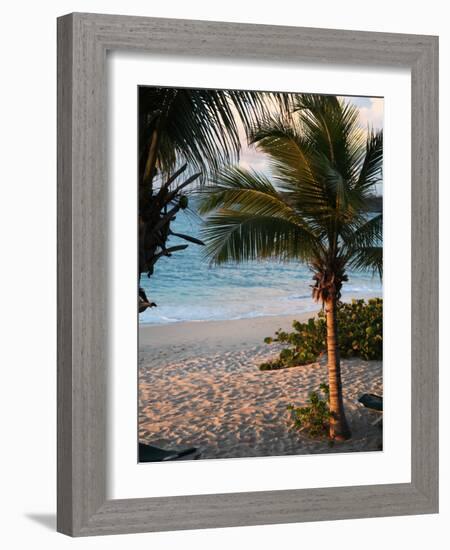 Sunset Palms II-Susan Bryant-Framed Photographic Print