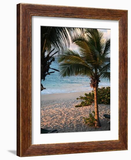 Sunset Palms II-Susan Bryant-Framed Photographic Print