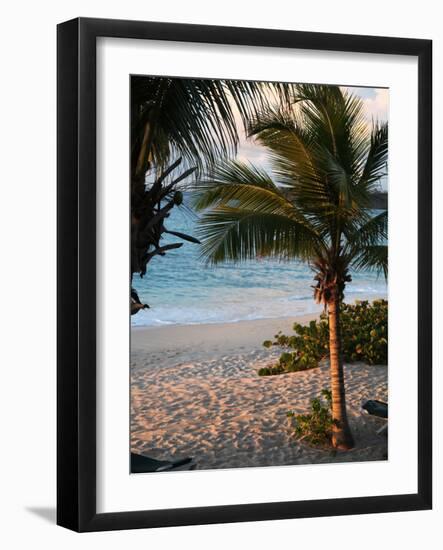 Sunset Palms II-Susan Bryant-Framed Photographic Print
