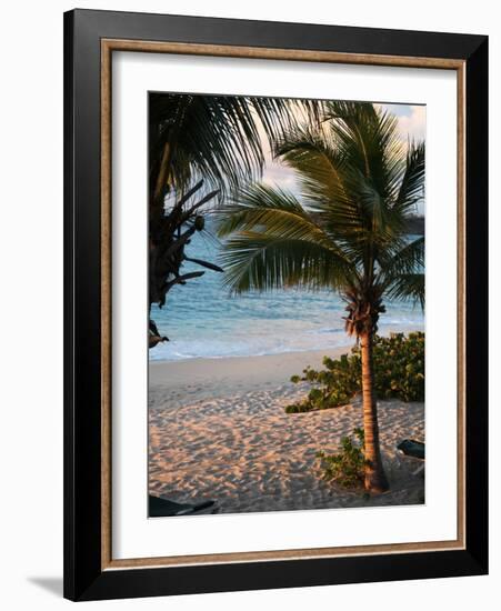 Sunset Palms II-Susan Bryant-Framed Photographic Print