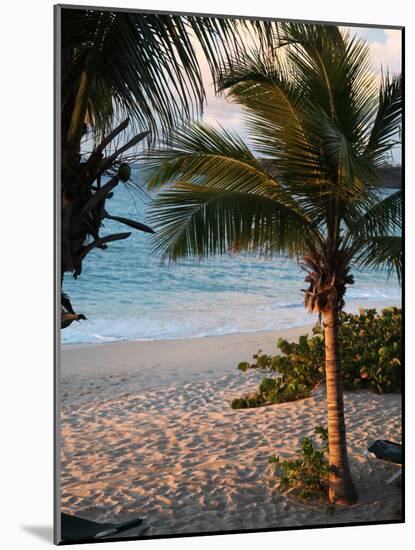 Sunset Palms II-Susan Bryant-Mounted Photographic Print